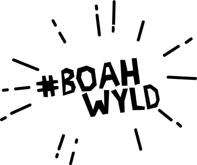 Firma Boahwyld Logo